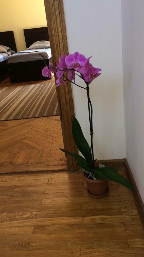 Cozy Guest House In Old באטומי מראה חיצוני תמונה